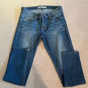 Ladies Standerd Blue Jean